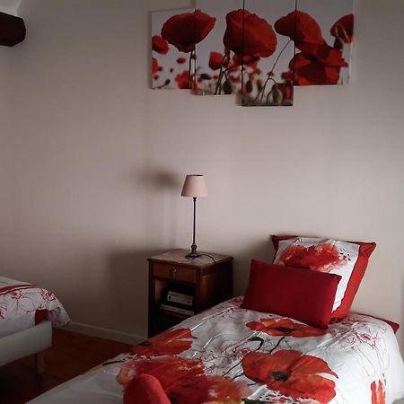 Hotel La Maison Rose: Lieu Atypique Nemours Exterior foto