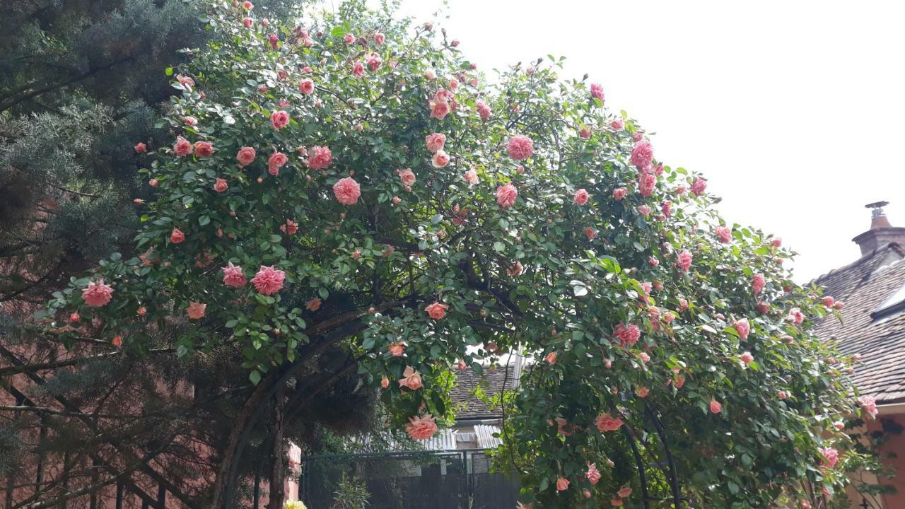 Hotel La Maison Rose: Lieu Atypique Nemours Exterior foto